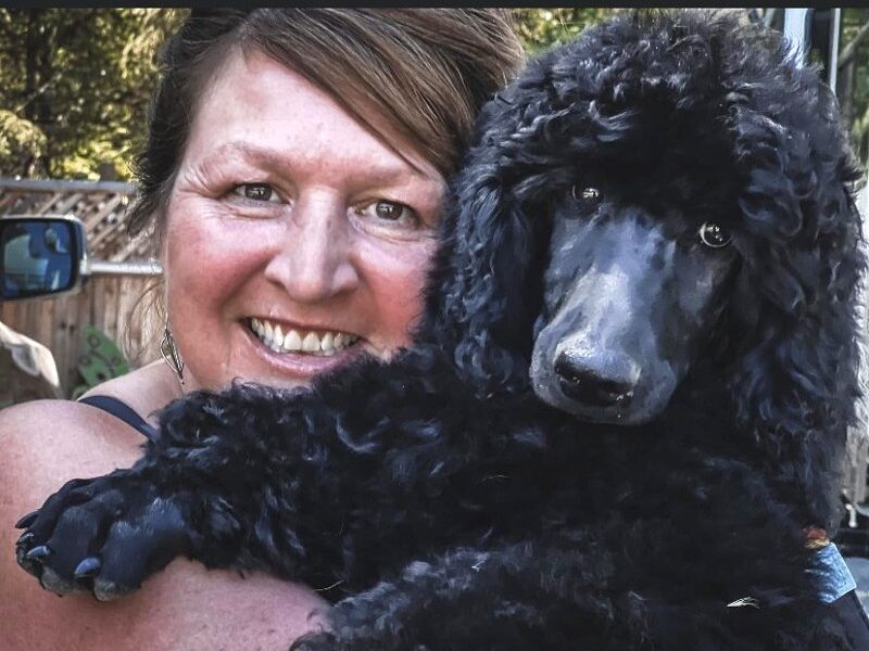 Prancing Poodles Tanya and Cedar Prancing Poodles Cedar and Tanya 1-250-732-5179